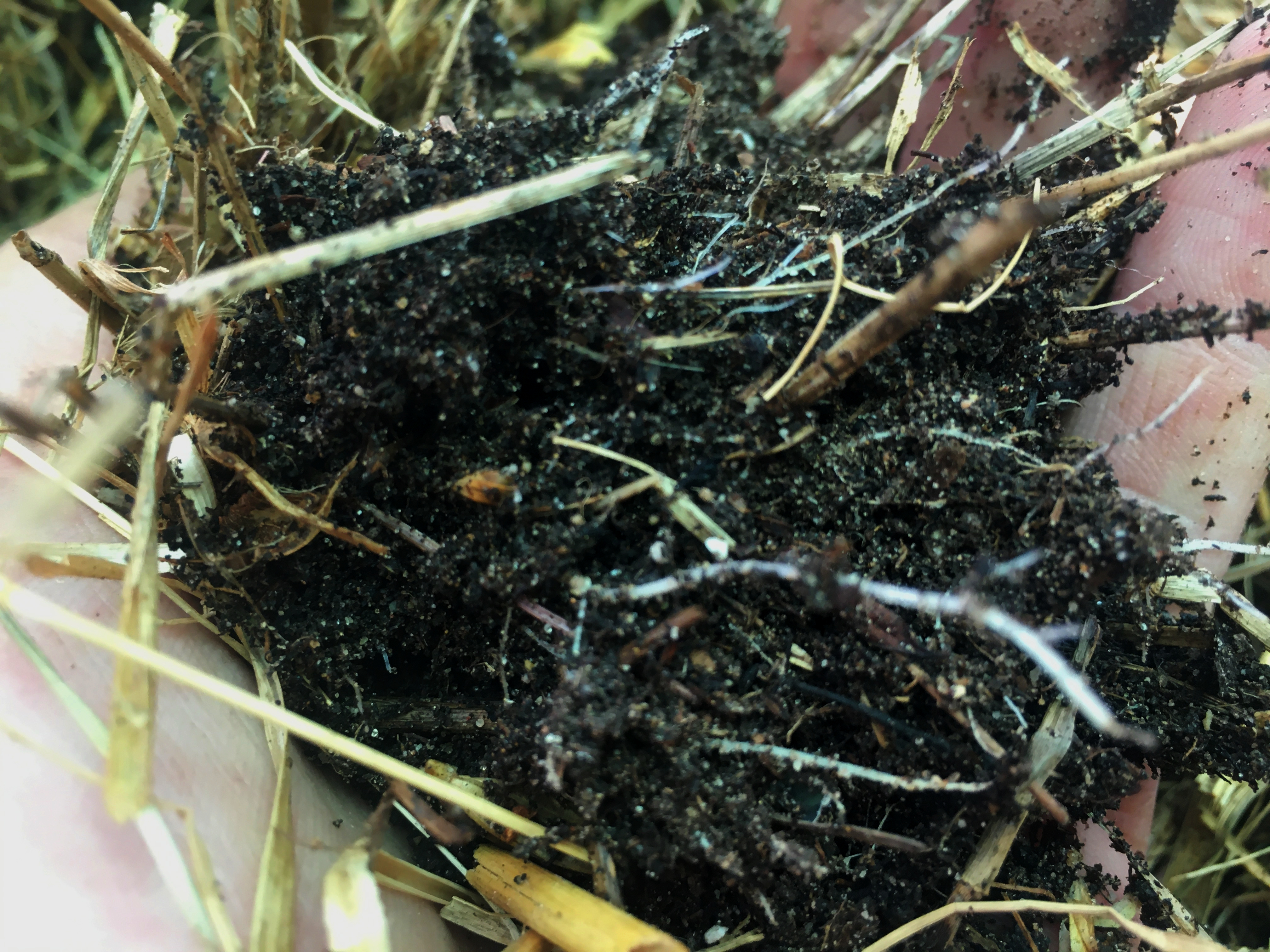 There's no such thing as bad soil.